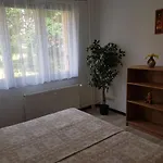 Lenka Nová Role