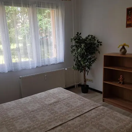 Lenka Nová Role