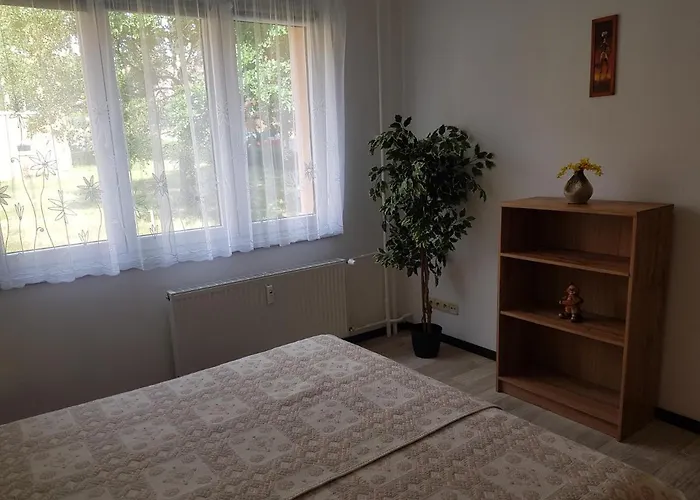 Lenka Nová Role